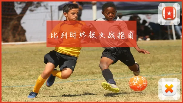 比利时终极决战指南