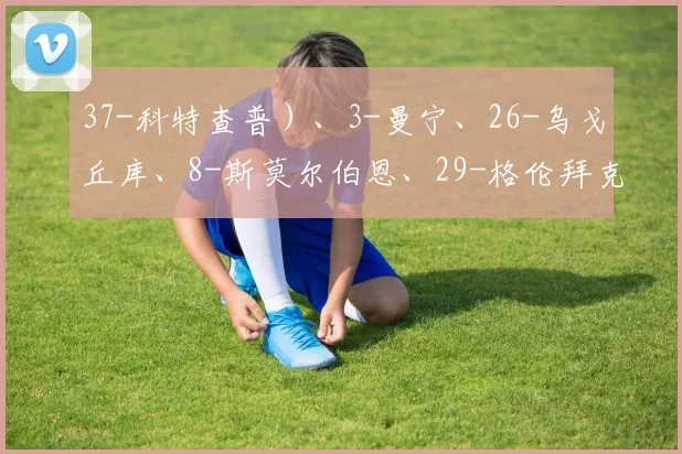 37-科特查普）、3-曼宁、26-乌戈丘库、8-斯莫尔伯恩、29-格伦拜克、33-迪布林、18-马特乌斯-费尔南德斯、20-苏莱马纳