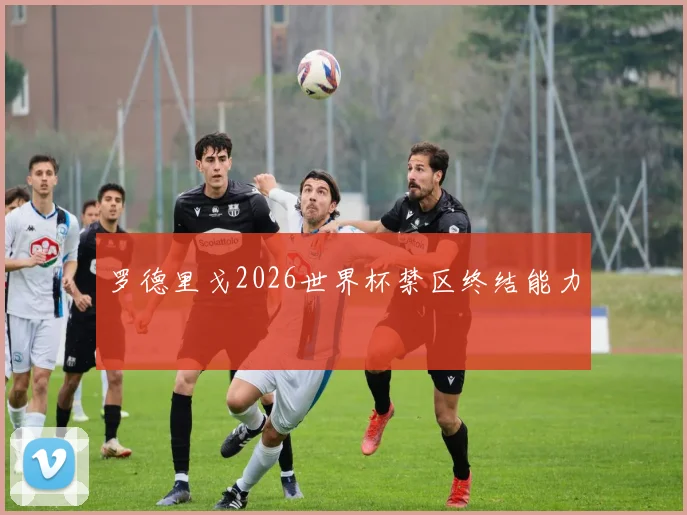 罗德里戈2026世界杯禁区终结能力