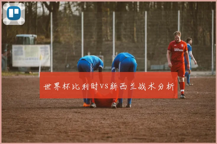 世界杯比利时vs新西兰战术分析