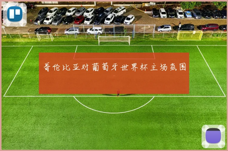 哥伦比亚对葡萄牙世界杯主场氛围
