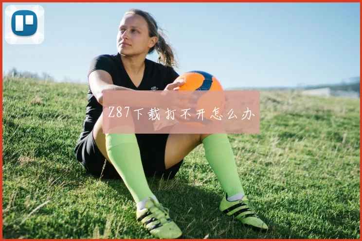 Z87下载打不开怎么办