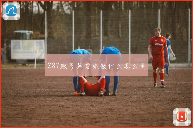 Z87账号异常先做什么怎么弄